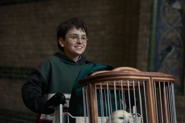 Harry Potter and the Philosopher's Stone/Dominic McLaughlin /Photograph by Aidan Monaghan/HBO