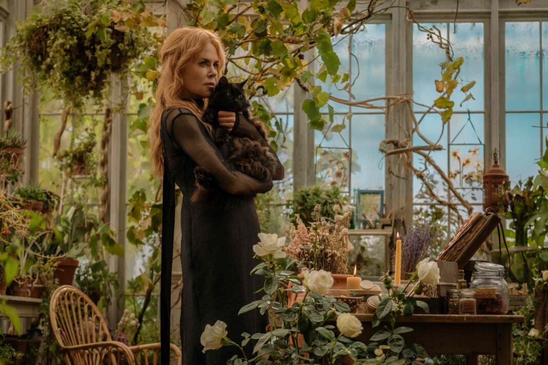 ‘Practical Magic 2’ Teaser Promises a Magical Return for the Owens ...