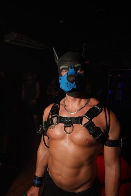 Sniffies et la Fondation Tom of Finland ont célébré la Bear Week 2026 à Provincetown avec des produits exclusifs, des DJ, de l'art queer et une collaboration en édition limitée.